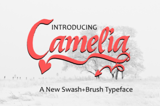 Camelia: Decorative Handwriting with Easy Readability